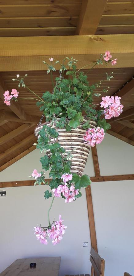 Guest House Ideal Sapareva Banya Exterior foto